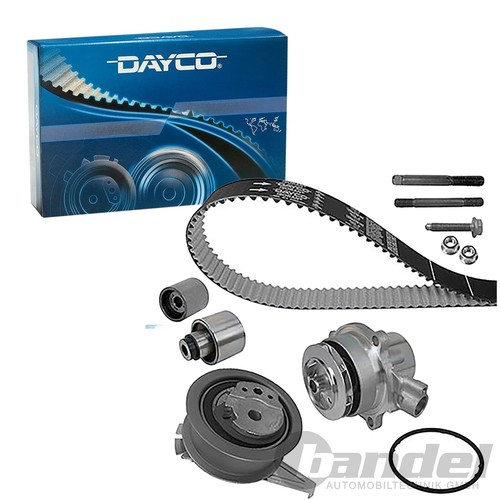 Dayco cinghia distribuzione - di,