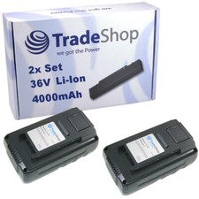 2x BATTERIA 36V 4000mAh LiIon