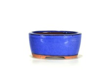 Vaso bonsai ovale 12 cm