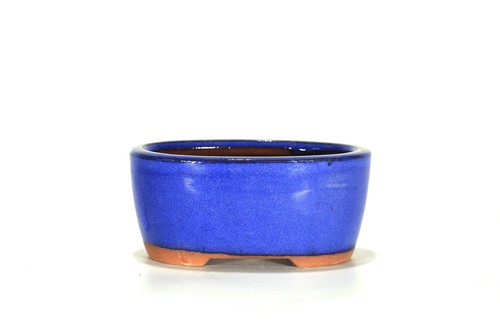 Vaso bonsai ovale cm - vaso,