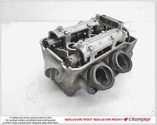 TESTA TESTATA + ALBERI +