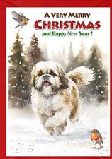 Biglietto di Natale Shih Tzu