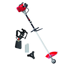 DECESPUGLIATORE A SCOPPIO