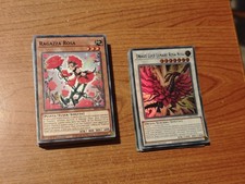 Carte Yu-Gi-Oh Lotto - Mazzo Rosa - Drago rosa nera - DECK + EXTRA DECK