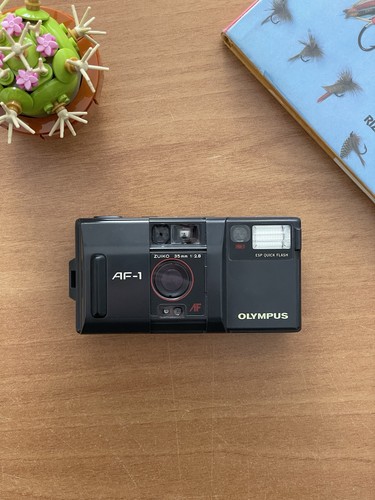 Olympus flash non - olympus,