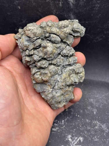 Minerali pirite porretta - **pirite,
