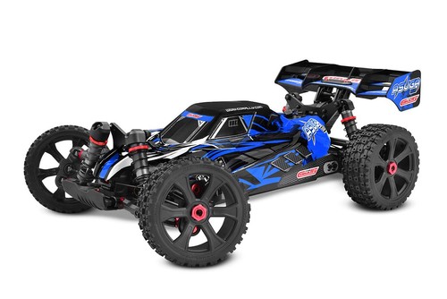 Team corally 00288 asuga - team, c-00288-b