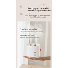 Piccolo Umidificatore