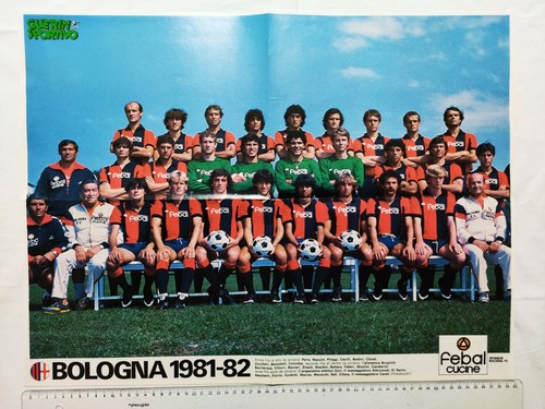 Poster bologna 1981 1982 febal - bologna, 1981-1982