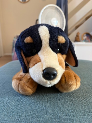 Benjie chiglia del cane - la,