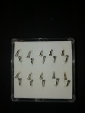 Confezione Da 10 Orecchini Per