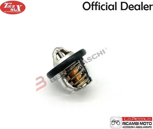 V839600729 termostato tourmax - v839600729,