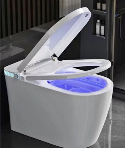 Smart Toilet 