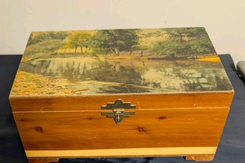 Scatola legno cedro - in,