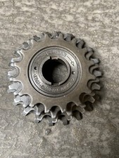 everest caimi castano 4v