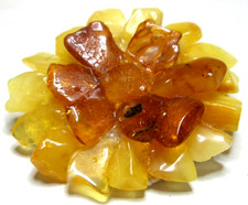 VERA COLLANA AMBRA BALTICA -