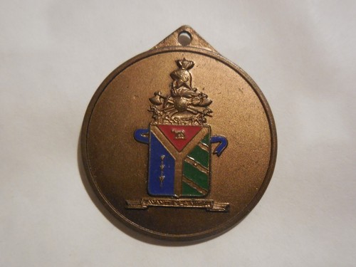 Medaglia 184 battaglione genio - 184,