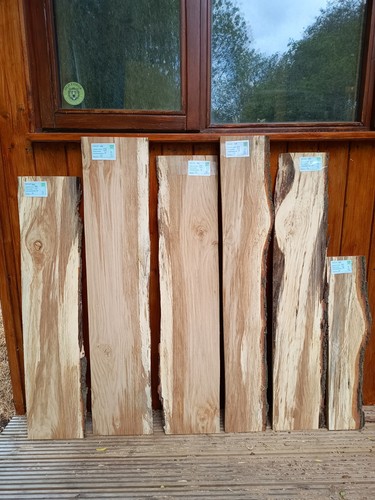 Rovere inglese lastre di - rovere,