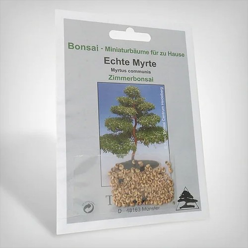 Semi piante bonsai vero - piante,,