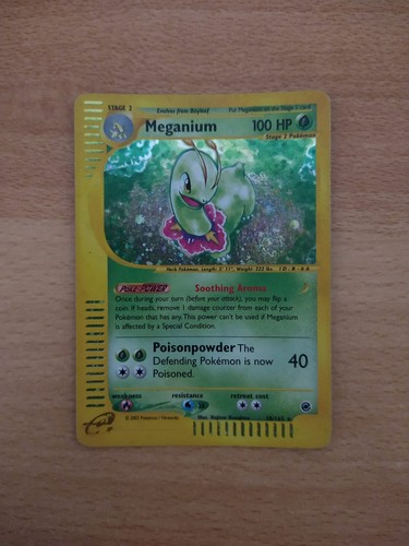 Meganium 165 holo - meganium,
