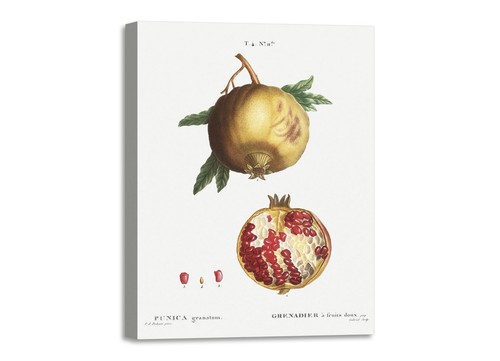 Quadro stampa tela con - tela,