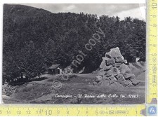 Postcard - Postcard - Campigna