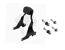 Detachable Sissybar Fits for