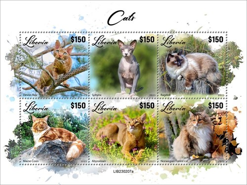 Francobolli gatti devon - gatti,
