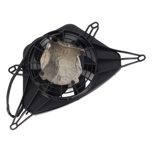 Ventilatore bmw k 1300 r - (bmw,
