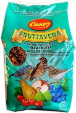 CANARY FRUTTAVERA - Pastoncino