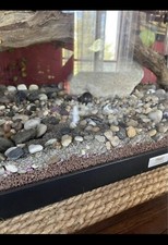 Acquario juwel rio 180l - juwel,
