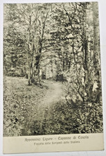 CARTOLINA PIEMONTE AL PROVINCIA APPENNINO LIGURE CAPANNE di COSOLA SORG. STAFORA