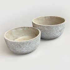 Fioriera succulenta - cemento