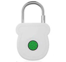 Lucchetto Impronte Digitali