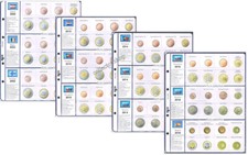 MASTER PHIL FOGLI DI