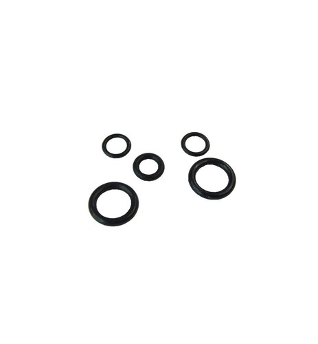 Set guarnizioni orings