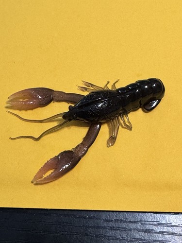Esca per creature nikko craw - per,