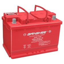 12V Banshee AGM Car Battery