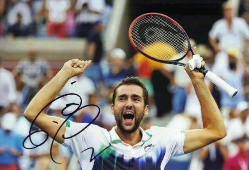 Marin cilic signed 12x8 photo - signed,