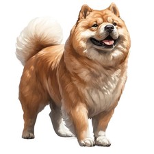 3 adesivi Chow Chow adesivi