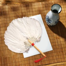 Ventaglio cinese tradizionale
