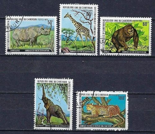 Animali selvatici camerun - selvatici,