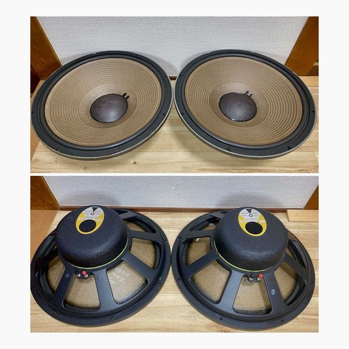 Coppia driver altoparlanti