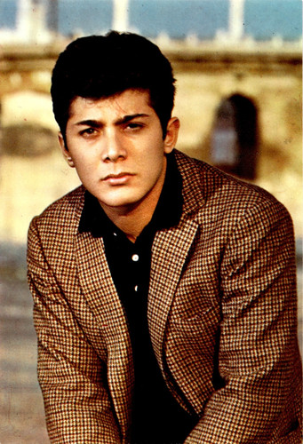 Paul anka raro inserto - -,
