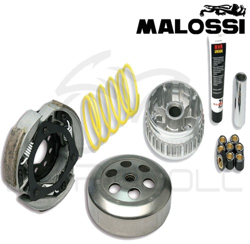 Malossi kit variatore - malossi, +