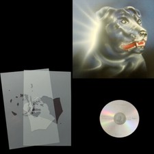 Stencil American Stafford