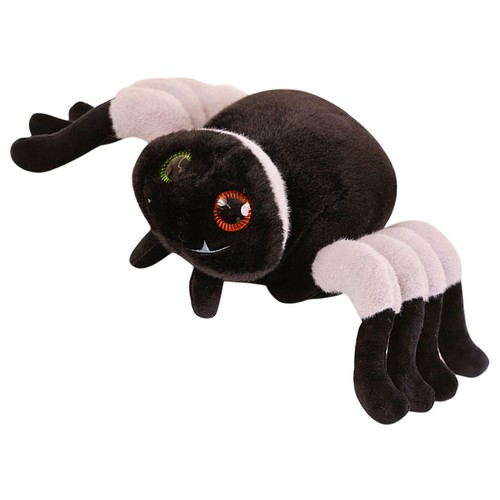 Animali ragno imbalsamati - animali,