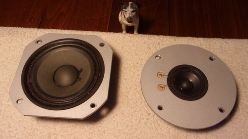 Pioneer hpm 100 midrange - pioneer,