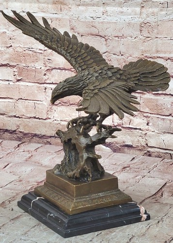 Magnificent american calvo - american,