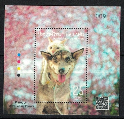 Thailandia 2024 love your - thailandia, pet